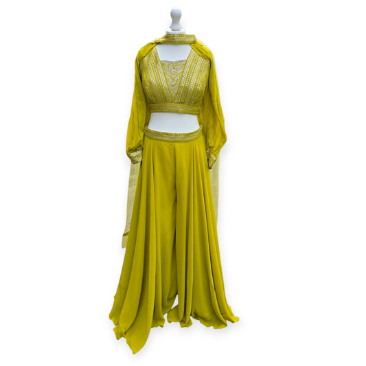 Light Olive Green Georgette Palazzo